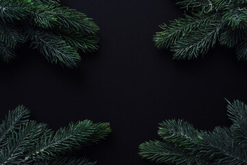 Christmas frame. Space for text between Christmas tree branches on a black background. Christmas or New Year decoration background