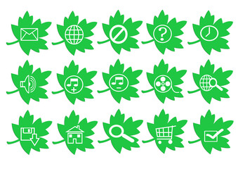 Web icon set in green leaf button, various icon set