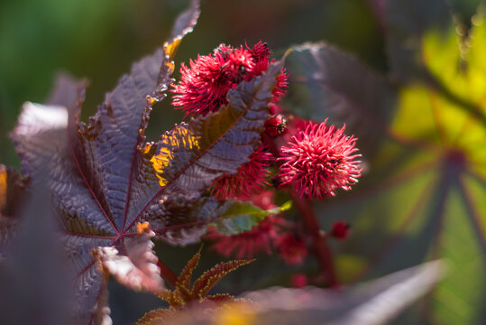 Jahreszeiten | Herbst | Natur