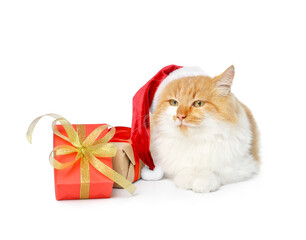 Cute funny cat in Santa hat and with Christmas gift on white background