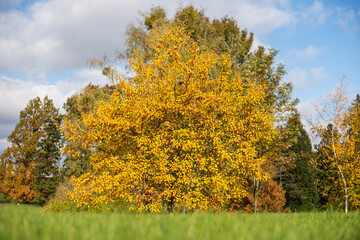 Jahreszeiten | Herbst | Natur