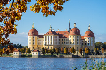 Fototapeta na wymiar The fairytale castle in Moritzburg, Germany covered by autumn leaves