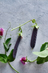 Green and purple peas and green beans. Collection of variety green beans and peas in a pod. Top view