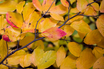 Jahreszeiten | Herbst | Natur