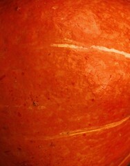 Fresh ripe pumpkin on a wooden table  
