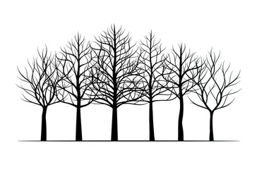 A set of black naked Trees. Vector outline Illustration. Plant and Garden.