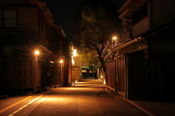 小江戸川越の夜景 © Satoshi881