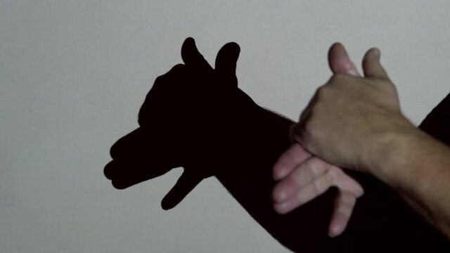 Male hands make a shadow of a dog under the projector lighting. Entertainment theater for young children