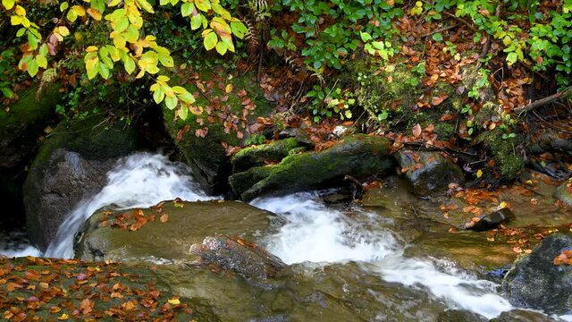 Pl&auml;tschernder Bach zwischen gro&szlig;en Steinen mit buntem Herbstlaub