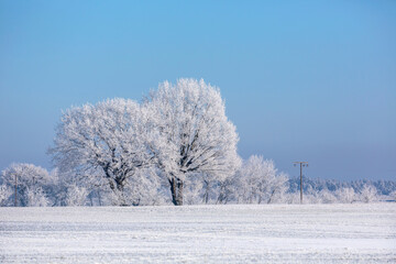 Winter Idyll In The North Of Germany