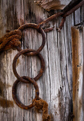 old wooden gate- Rusty chain