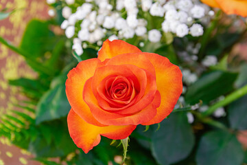 Orange roses bouquet, close view