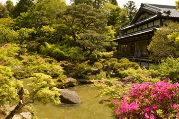 Fototapeta na wymiar Exploring the beautiful temples and pagodas around Kyoto and Nara on Honshu Island, Japan