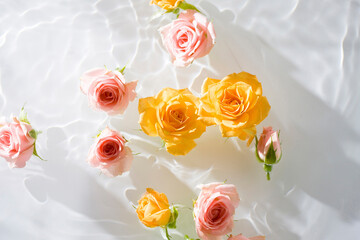 水に浮かぶ薔薇の花