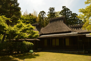Exploring the beautiful temples and pagodas around Kyoto and Nara on Honshu Island, Japan
