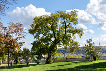 Fototapeta na wymiar Public Park in Prague EU in Autumn colors