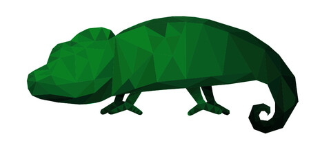 Chameleon polygon art_korean
