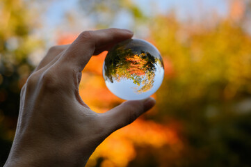 Hand held lensball in autumn forest. Selective focus with shallow depth of field.