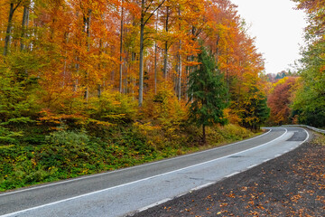 Colourful autumn mountain Transfăgărășan road in Romania