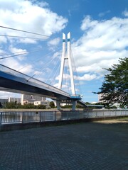 辰巳桜橋　南側から札駅
