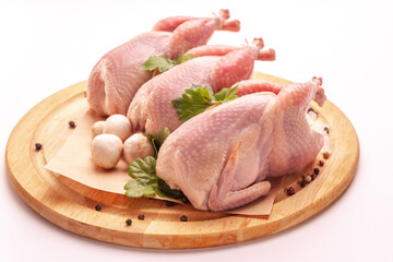 Raw plucked quail isolated on white background.