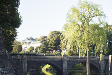 Fototapeta na wymiar 正門石橋と柳の木