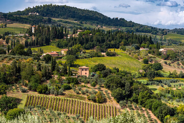 Hügelige Landschaft mit Zypresse und Olivenbäumen in der Toskana, Italien