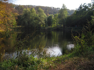 lake in the forest