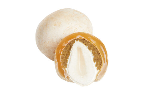 Phallus impudicus, known as the common stinkhorn isolated on white background. Ripe mushroom, immature fruiting body ("egg") of this mushroom, this egg is edible.
