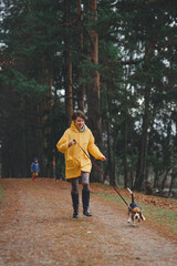 Girl in a bright yellow raincoat with beagle puppy, walking green lawn in an autumn forest.