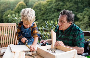 Small boy with senior grandfather in wheelchair constructing birdhouse, diy project.