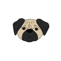 Vector hand drawn doodle sketch colored pug dog face isolated on white background