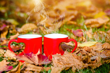 two heart shaped mugs with tea on a yellow autumn leaves