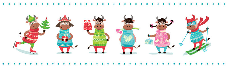 Chinese new year of white ox 2021 zodiac - vector set bulls or cows, flat cartoon animals for holiday cards, posters and home decorations, cute characters with for luck isolated on white background.