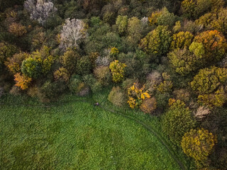 autumn in the park