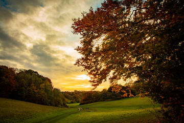 West Berkshire fields