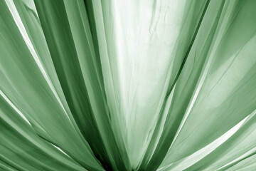 green curtains texture.