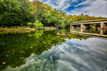 Obraz premium bridge over the river in the forest