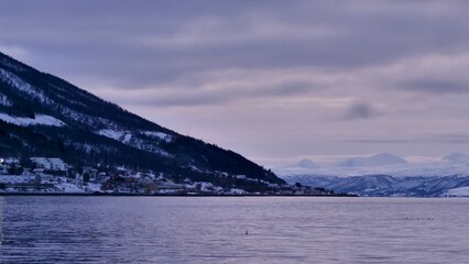 Winter view to the Steinfjord - Troms county, Norway