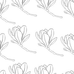 Seamless pattern Magnolia flowers black and white colors graphics vector illustration