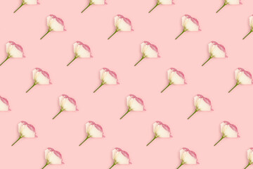 White eustoma flowers pattern on a pink background. Creative concept in pastel colors.