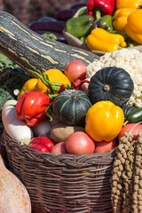 A variety of farm produce is on display on the table