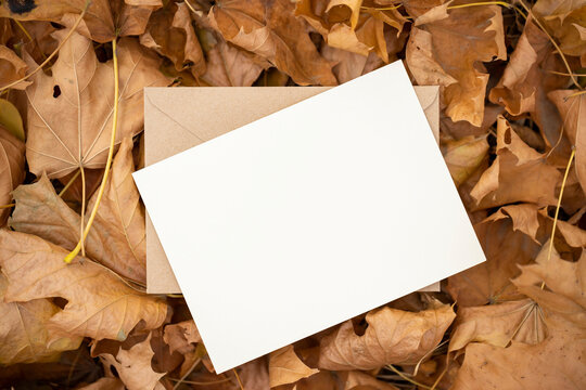 Blank white paper card with brown craft envelope on autumn leaves background. Colorful backround image. Space for text.