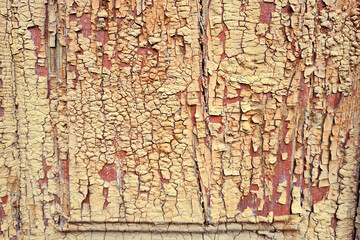 Texture of old wooden door of abandoned building with peeled yellow paint abstract background.