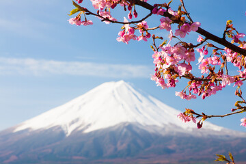 河口湖の桜と富士山