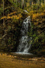 A roadside waterfall in Himachal