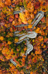Drone shot of winding mountain road and red colored trees in autumn