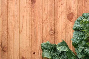natural wooden background with a plant frame landscape orientation negative copy space