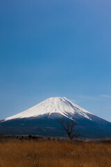 Obraz premium 朝霧高原からの富士山