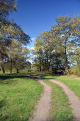 Obraz premium Natural landscape in Kiev Region at autumn